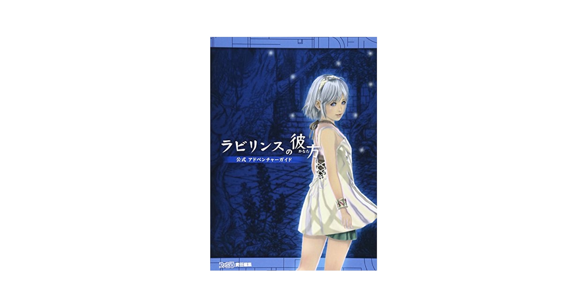 Amazon.co.jp: ラビリンスの彼方 公式 アドベンチャーガイド